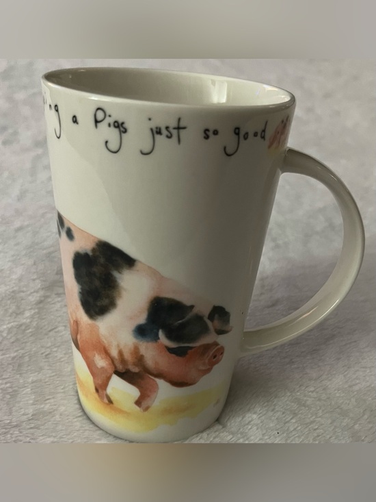 Kent Pottery Other - Vtg Kent Pottery "Wallowing In The Mud Being a Pigs Just So Good" Porcelain Mug
